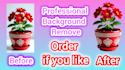 the beautiful background remove