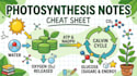 create professional biology notes, mcqs and study materials