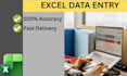 be your expert data entry and virtual assistant