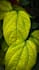 provide nature photography images
