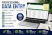 accurate data entry and web research expert