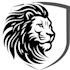 desighn a professional logo