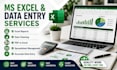 do accounting bookkeeping journal entries  and data entry in excel