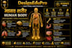 create hindi english bilingual educational infographic slides