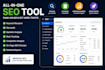 provide a custom website seo audit tool or script