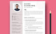 redesign and improve your professional CV