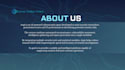 perform a professional website security audit and pentest
