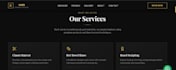 create professional business websites