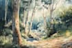 draw custom watercolor illustrations