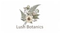 design modern botanical boho logo design with branding