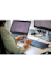 do accurate data entry, excel, and web research