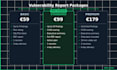 create a professional vulnerability assessment report for your application