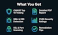 perform professional website vulnerability assessment and security report