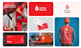 design a professional logo, branding kit and brand identity