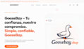 build your shopify web