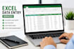 professionally enter data in excel spreadshit