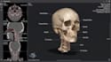 do medical imaging, 3d visualization, dicom, image analysis, python