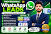 b2b lead generation expert