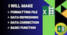 make any  ms excel data cleaning and formatting in 12 hours