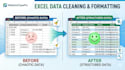 do professional excel data cleaning, formatting, and sorting