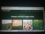 do custom website development as front end or full stack web developer