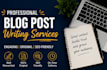 write blog posts for you