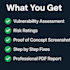 perform professional web application penetration testing and owasp top 10