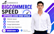speed up bigcommerce website performance optimize core web vitals