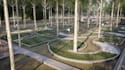 custom 3d mini golf course,golf hole,recreational facility,golf layout rendering