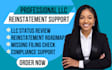 reinstate your US llc and restore active status with good standing