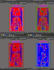 design professional 2 layer and 4 layer pcb layouts in altium