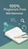 write seo blog and article