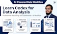 teach codex for professional data analysis and reporting