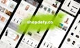 fix shopify bugs and errors fast