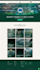 do custom website development as full stack developer, front end developer