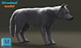create 3d animal model for games, animation or rendering