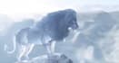 do cgi 3d animal animation, 3d animal rigging, fur xgen, vfx composting