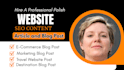 proofread and copy edit your polish text or website content
