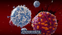 create 3d car t cell therapy biotech and medical animation video