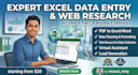 do expert excel data entry and web research