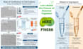 create scientific, medical illustrations and infographics