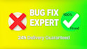do wordpress customization bug fixes speed optimization