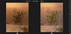 do photo editing with lightroom