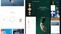 design redesign shopify store, build shopify website or dropshipping store