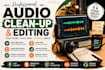do audio cleanup, forensic restoration, with lip sync, remove background noise
