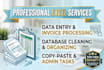 do expert excel data entry and invoice processing