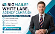 build bigmailer white label agency client campaign