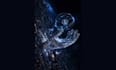 create custom touchdesign and touchdesigner interactive visual experience