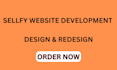 do auto sellfy website design and redesign sellfy website development