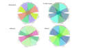 do r programming  visuals for you